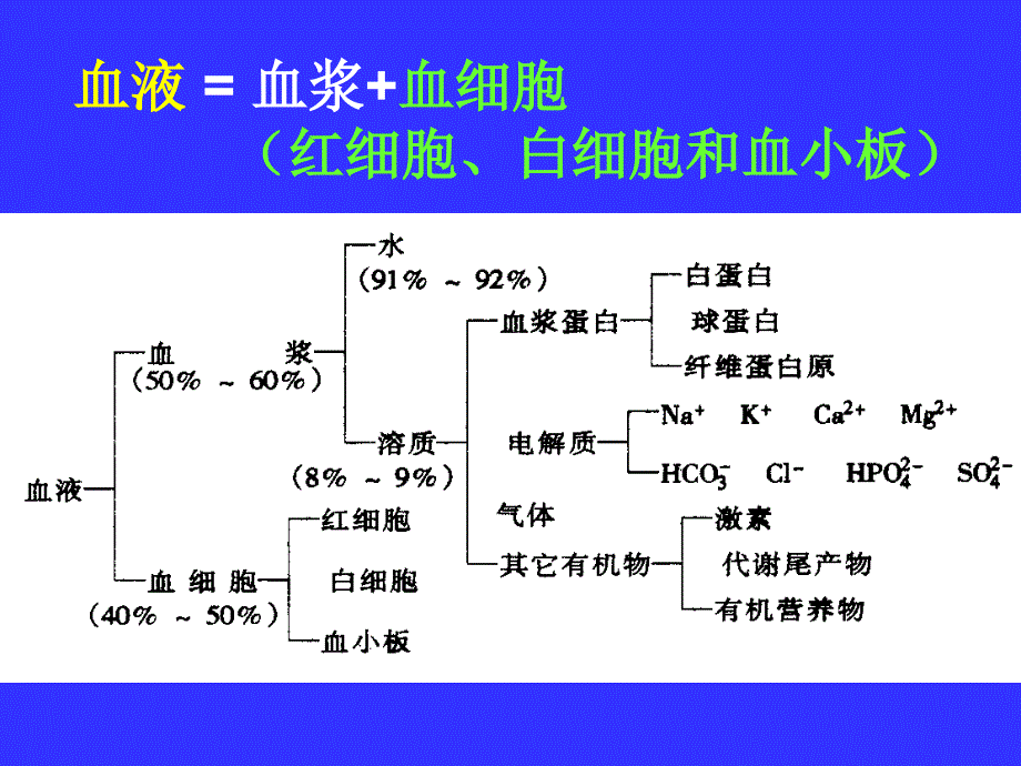 生理-血液系统_第2页