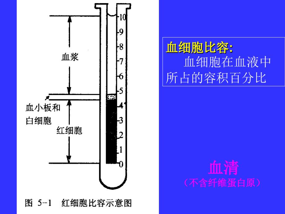 生理-血液系统_第3页