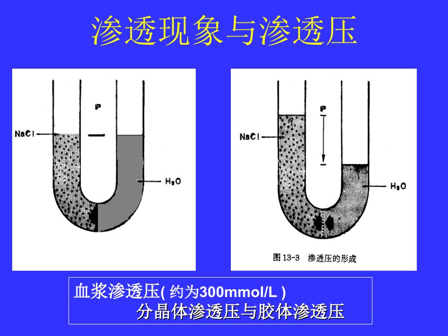 生理-血液系统_第4页