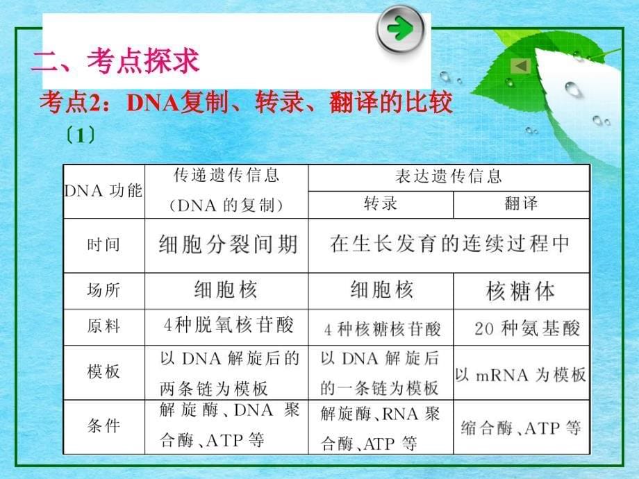 基因的表达ppt课件_第5页