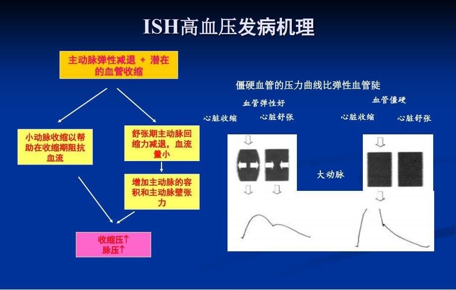 综观单纯收缩期高血压ISH_第5页