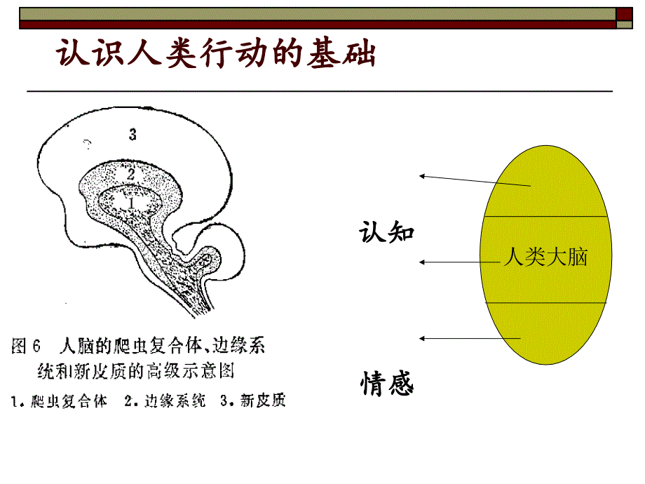 7月21日陈穗清心理学专题四_第4页