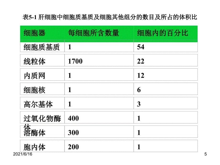 真核细胞内膜系统的结构和功能_第5页