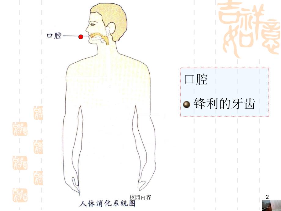 幼儿园大班健康保护我的肠胃#参照资料_第2页