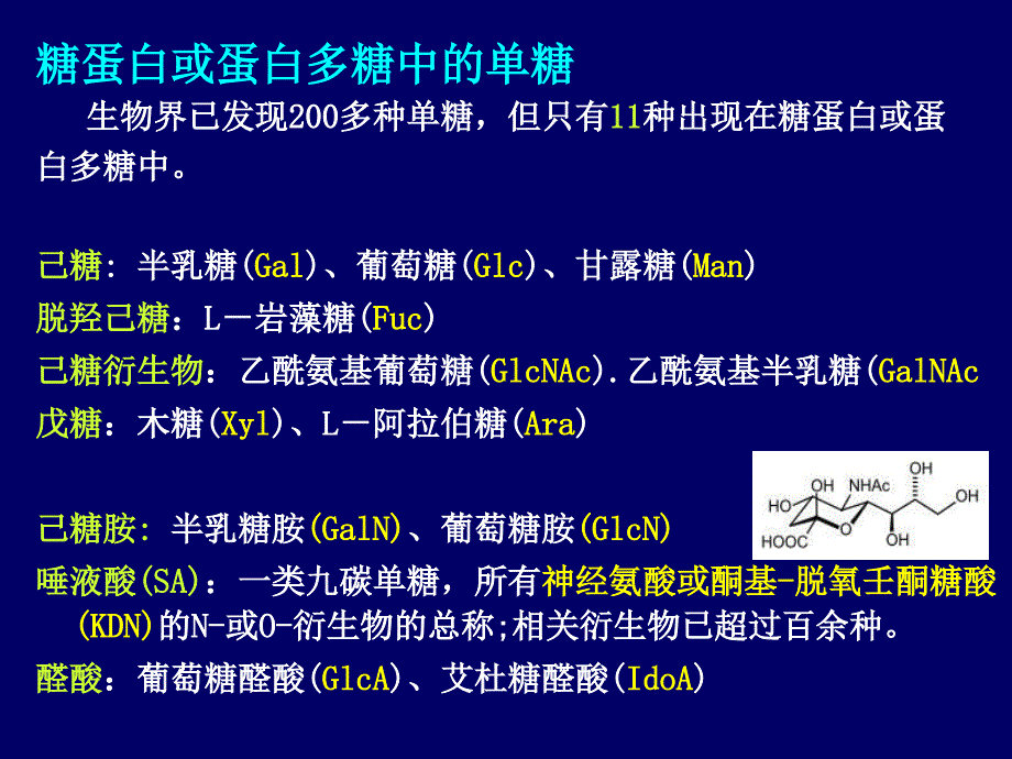 第十一章糖蛋白与蛋白聚糖_第3页