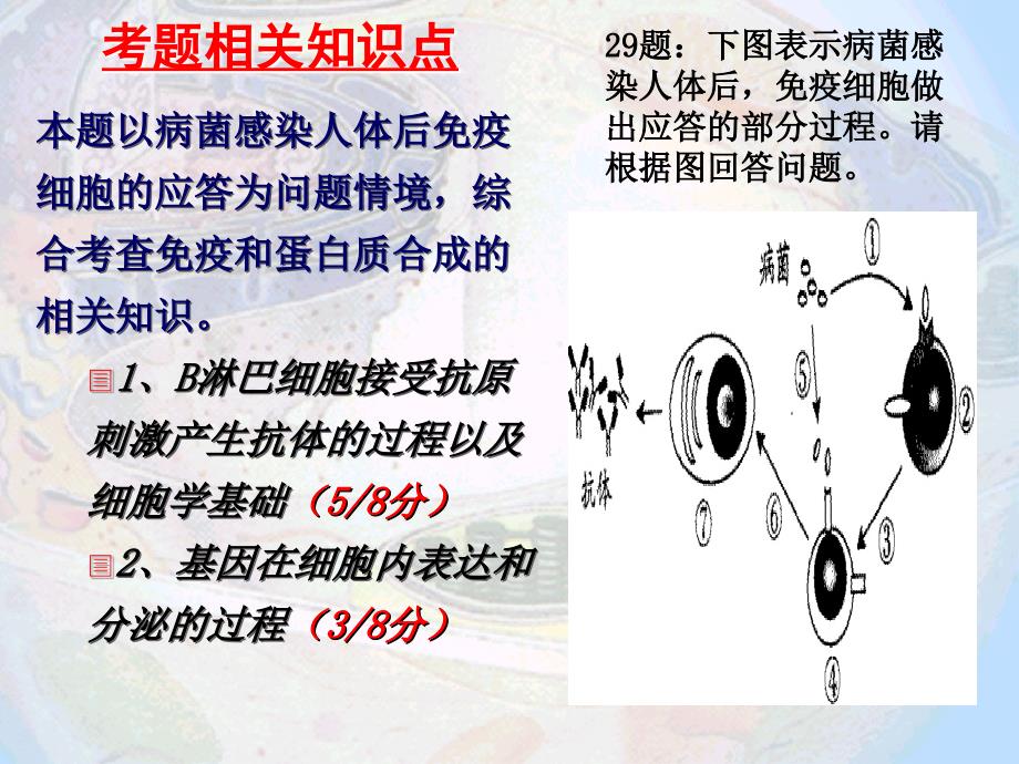 高考生物分析资料免疫_第2页