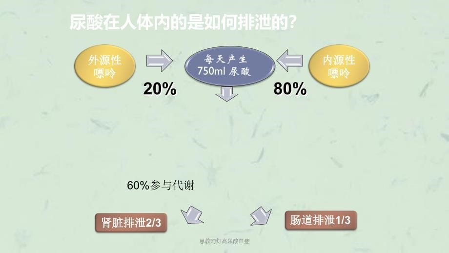 患教幻灯高尿酸血症课件_第5页