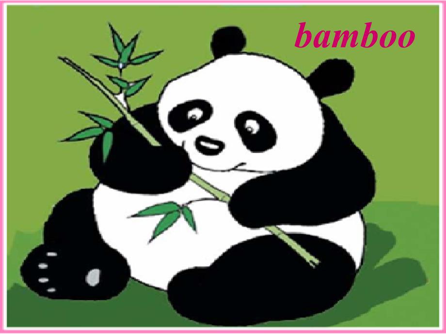 外研版一起六上Module 7Unit 1 Pandas love bambooppt课件2_第3页