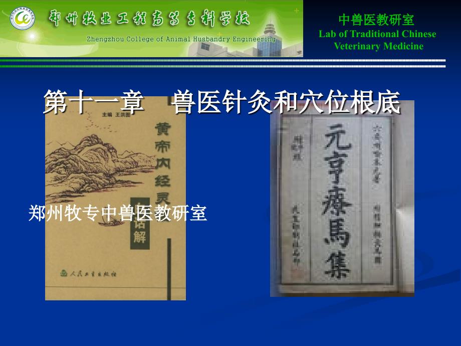 中兽医兽医针灸和穴位基础_第1页
