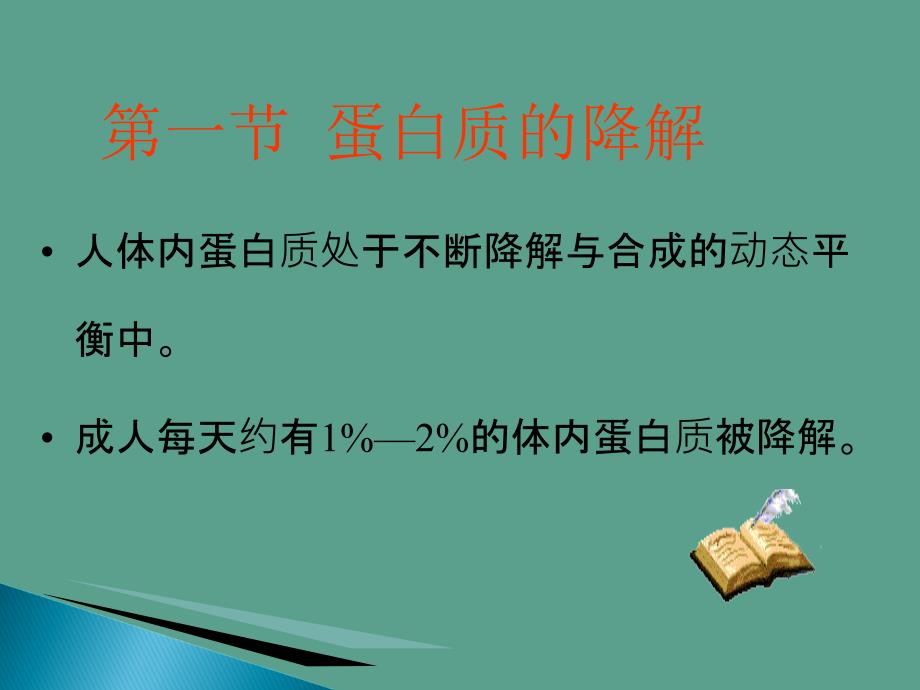 食品生物化学第9章蛋白质降解和氨基酸分解代谢ppt课件_第2页