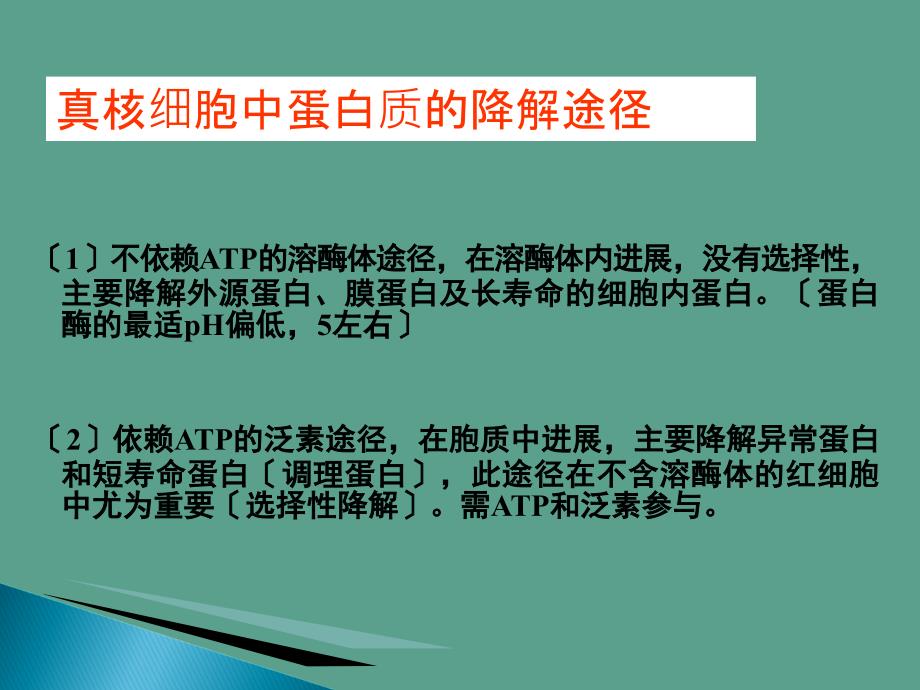 食品生物化学第9章蛋白质降解和氨基酸分解代谢ppt课件_第3页