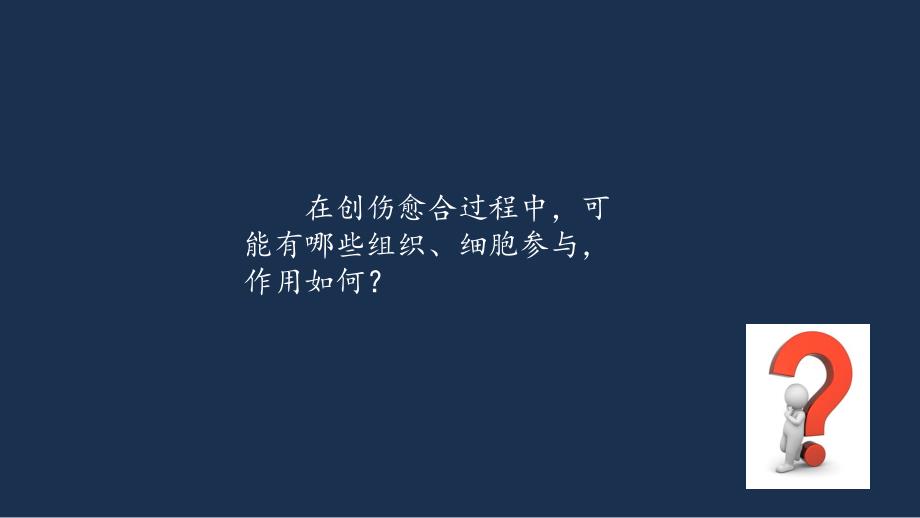 组织学与胚胎学病例讨论分析开放性骨折.ppt_第2页