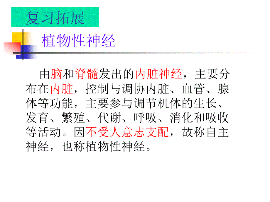 332神经调节1_第4页