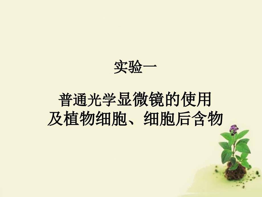 植物实验一植物细胞与细胞后含物课件.ppt_第1页
