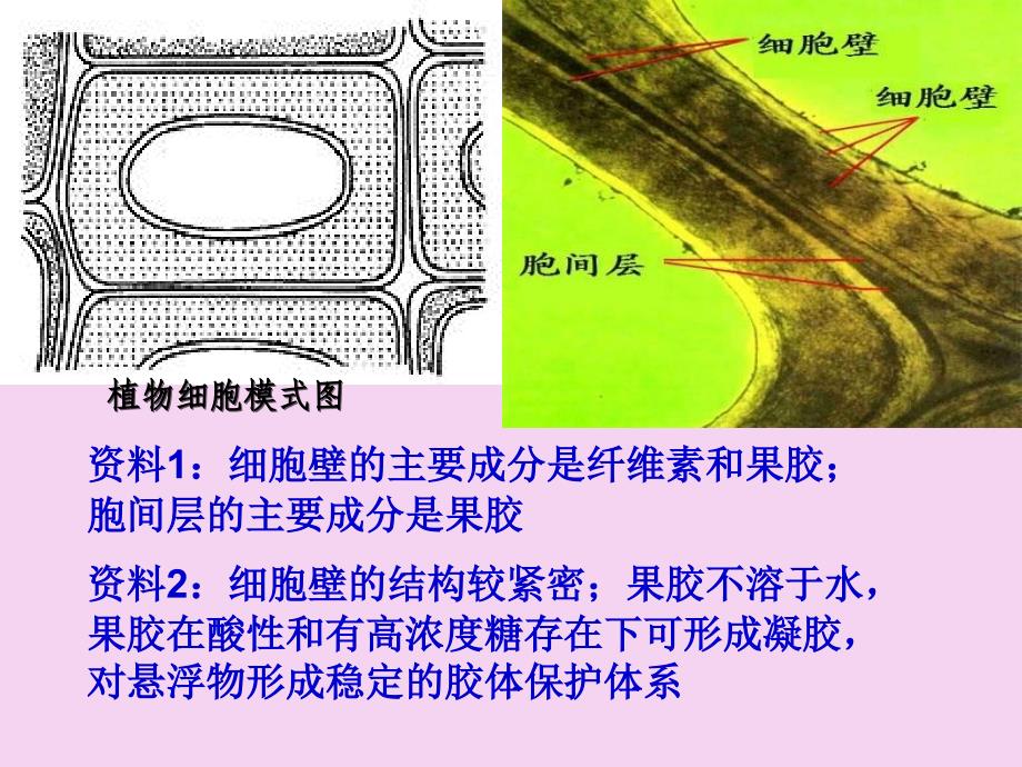 41果胶酶在果汁生产中的作用1ppt课件_第4页