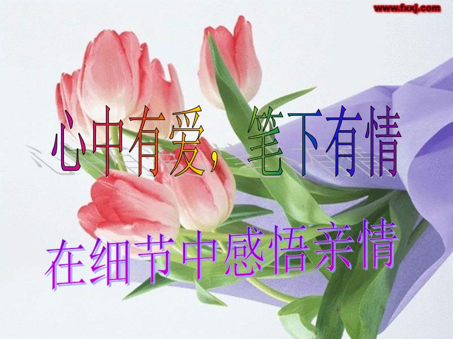 亲情作文细节描写件课件.ppt_第1页