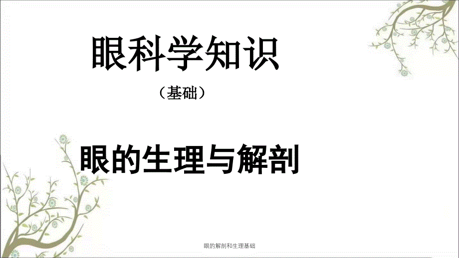 眼的解剖和生理基础_第1页