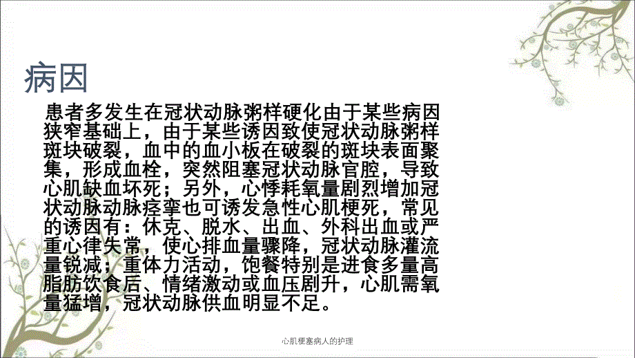 心肌梗塞病人的护理_第4页