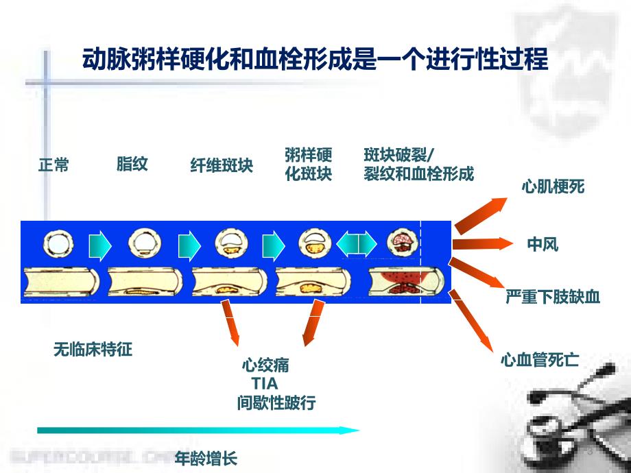 医学课件抗血小板凝集药物_第3页