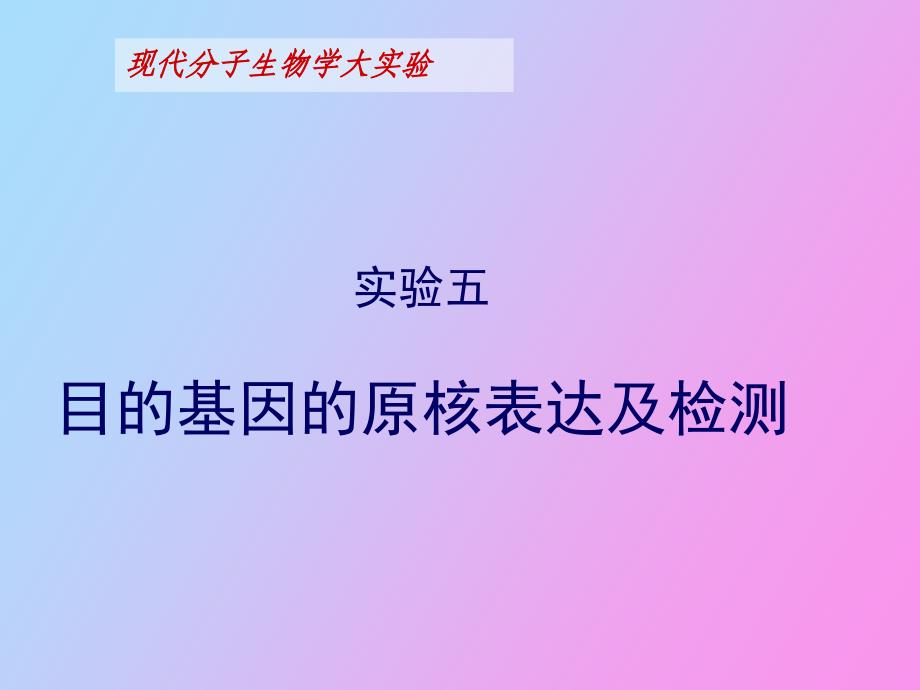 zhou目的蛋白质表达、纯化、检测_第1页