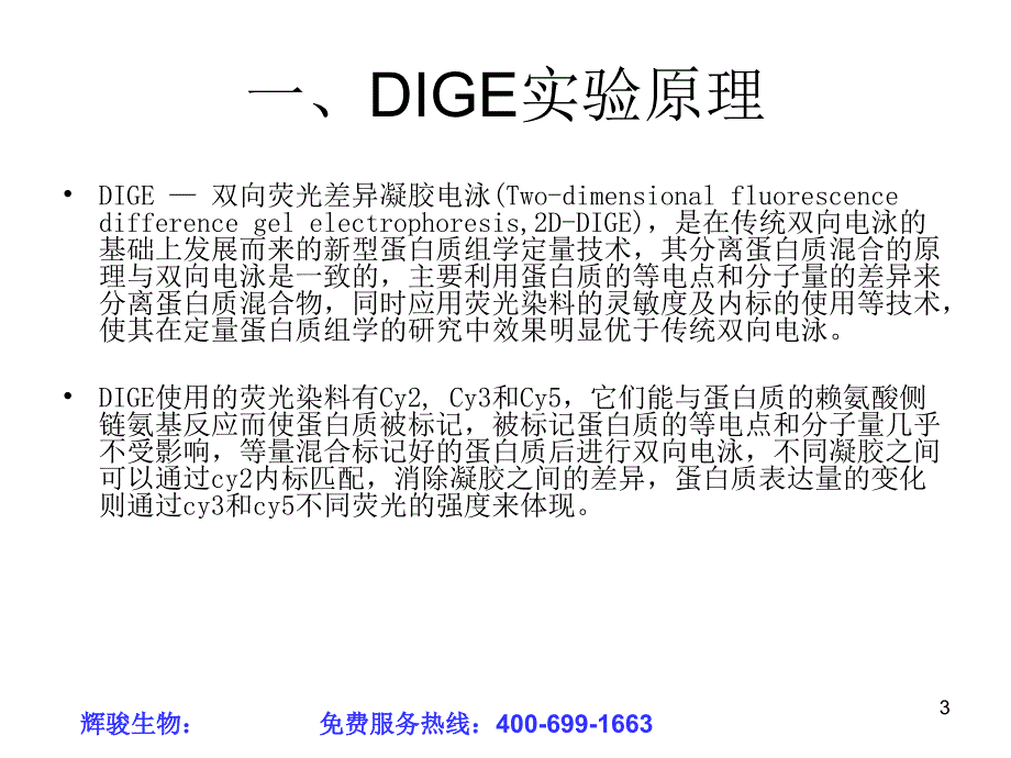 DIGE实验步骤_第3页