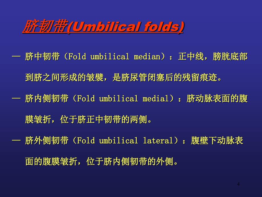 腔镜下腹股沟区的解剖PPT参考课件_第4页