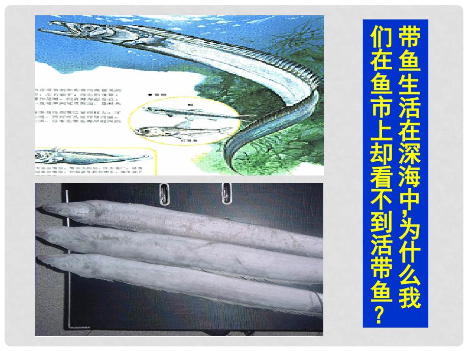 广西都安瑶族自治县加贵中学九年级物理全册 液体的压强课件 新人教版_第2页