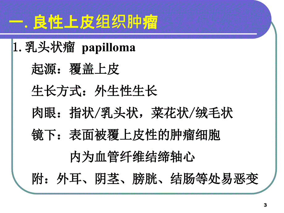 病理学课件：常见肿瘤举例2_第3页