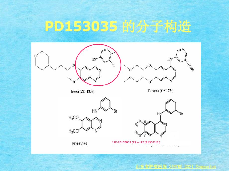 ETCT构建非小细胞肺癌患者EGFR分子影像的初步研究ppt课件_第4页