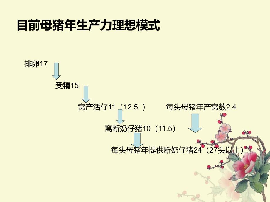 实战经验分享猪场实用饲养策略_第3页