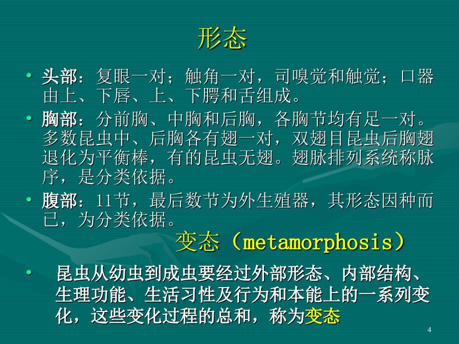 人体寄生虫学蚊演示PPT_第4页