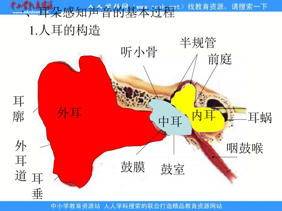 苏教版科学四上我们怎样听到声音ppt课件_第4页