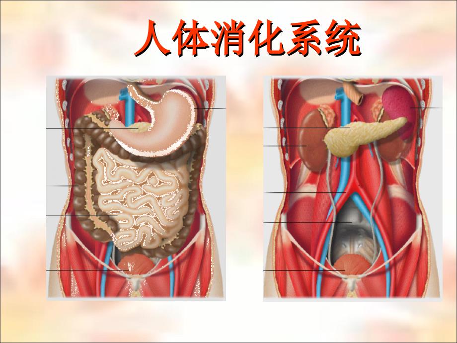 专业医师告诉你怎样注意饮食营养与健康_第3页