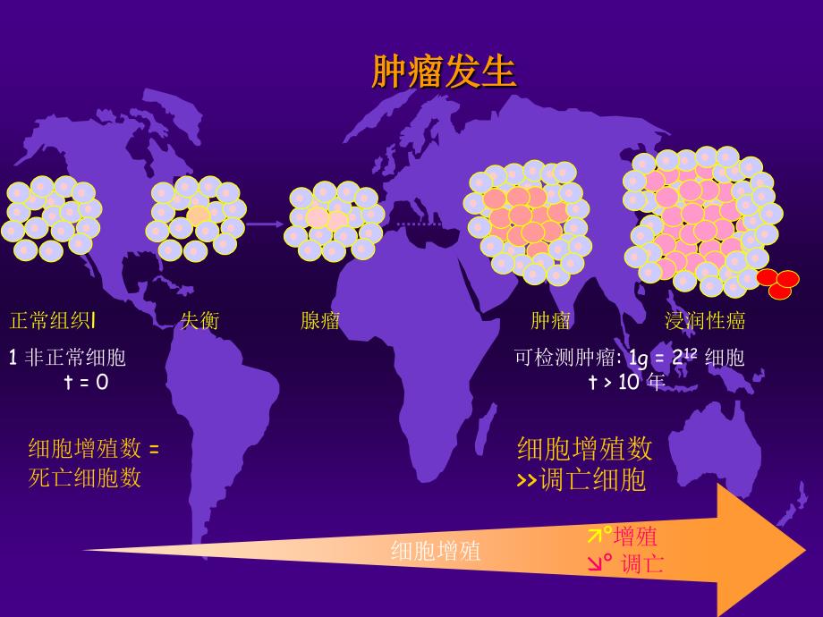 《肿瘤分子靶向治疗》PPT课件_第2页