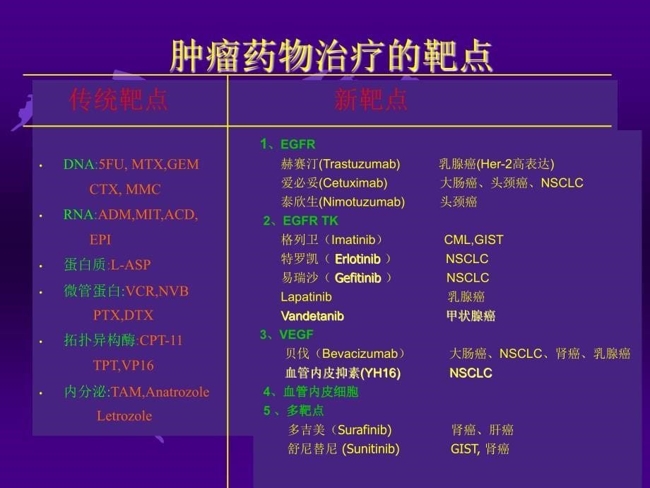 《肿瘤分子靶向治疗》PPT课件_第5页