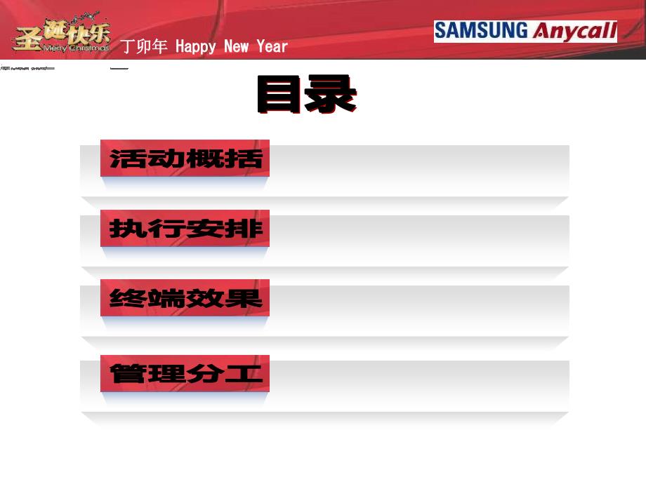 某公司圣诞元旦临促项目执行手册_第2页