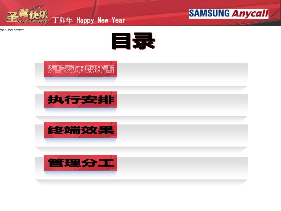 某公司圣诞元旦临促项目执行手册_第3页