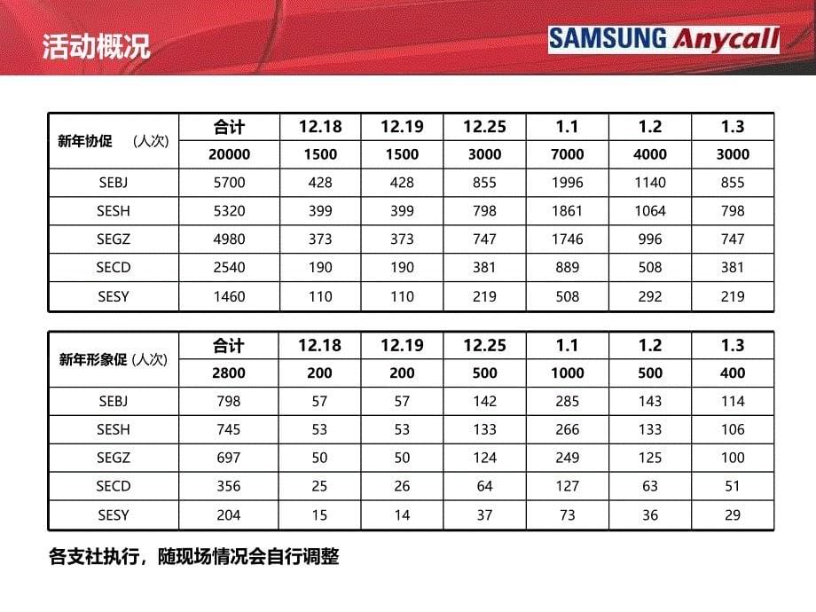 某公司圣诞元旦临促项目执行手册_第5页