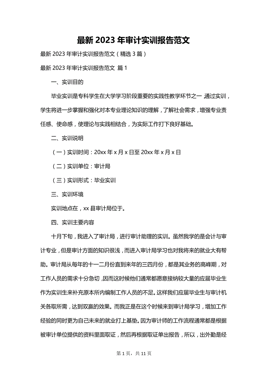 最新2023年审计实训报告范文_第1页