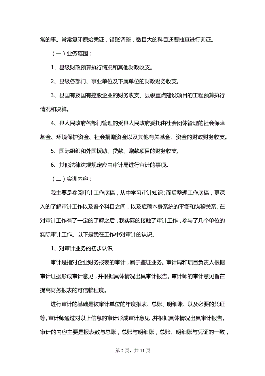 最新2023年审计实训报告范文_第2页