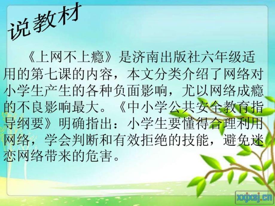 上网不上瘾说课课件.ppt6_第3页