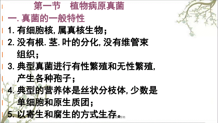 园林植物病害的生物病原物_第2页