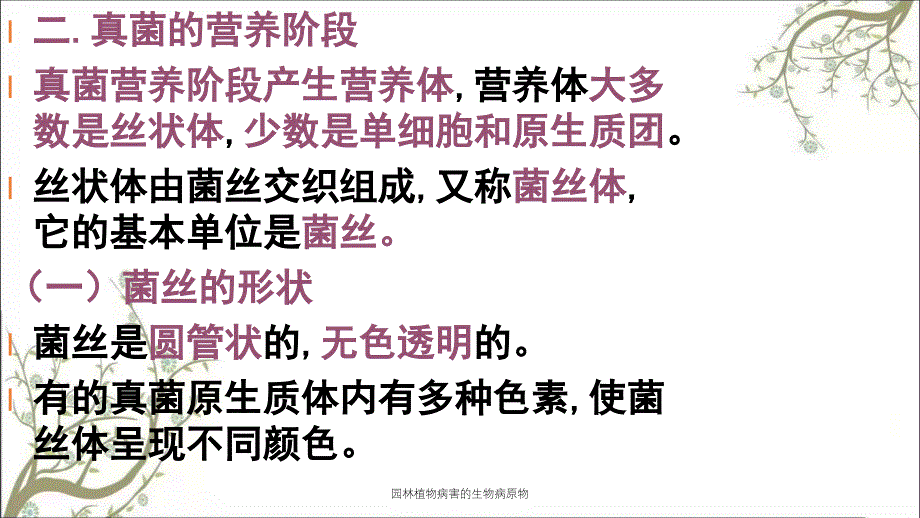 园林植物病害的生物病原物_第3页