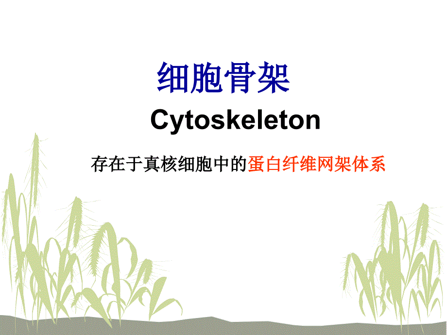 细胞生物学课件第六章细胞骨架1_第1页