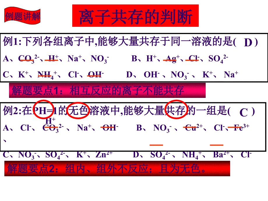 酸碱盐复习离子共存_第2页