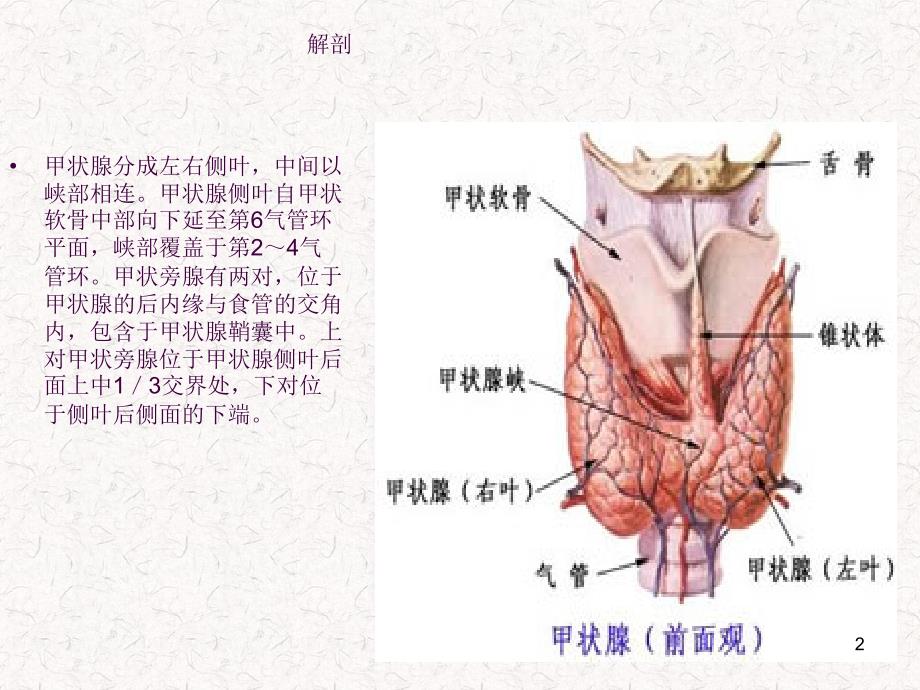 常见甲状腺疾病的CT诊断ppt课件_第2页