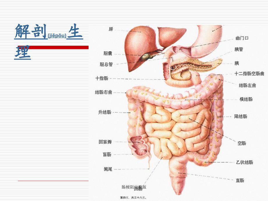 肠梗阻完整版课件_第4页