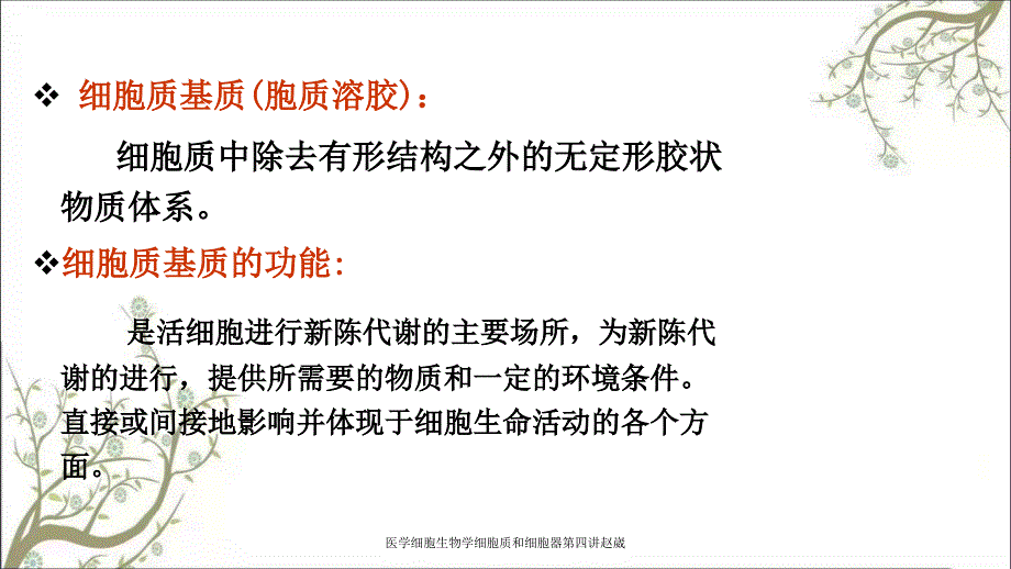 医学细胞生物学细胞质和细胞器第四讲赵崴_第3页