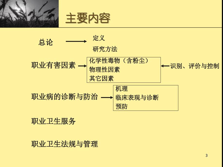 华科劳动卫生考研辅导_第3页