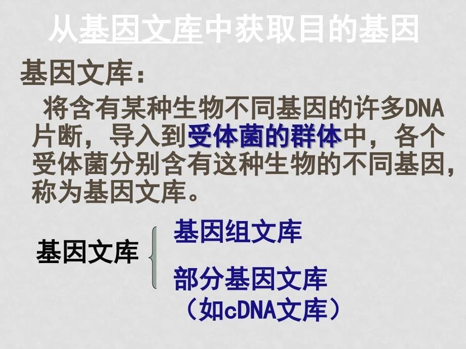 高二生物（基因工程的基本操作程序）课件新人教版选修3_第5页